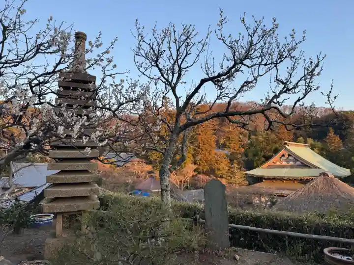 龍隠庵の{uncategorized: "未分類", other: "その他", undefined: "問題あり", building: "その他建物", grave: "お墓", sacred_gate: "鳥居", guardian: "狛犬", statue: "像", buddha: "仏像", history: "歴史", nature: "自然", garden: "庭園", animal: "動物", pagoda: "塔", temizu: "手水舎", mountain_gate: "山門・神門", sanctuary: "本殿・本堂", subordinate: "末社・摂社", art: "芸術", scenery: "景色", jizo: "地蔵", ema: "絵馬", goshuin: "御朱印", omikuji: "おみくじ", items: "授与品その他", amulet: "お守り", goshuincho: "御朱印帳", eats: "食事", festival: "お祭り", votive_dance: "神楽", shichigosan: "七五三参", wedding: "結婚式", experience: "体験その他", initially: "初詣", around: "周辺", anti_infection: "感染症対策"}