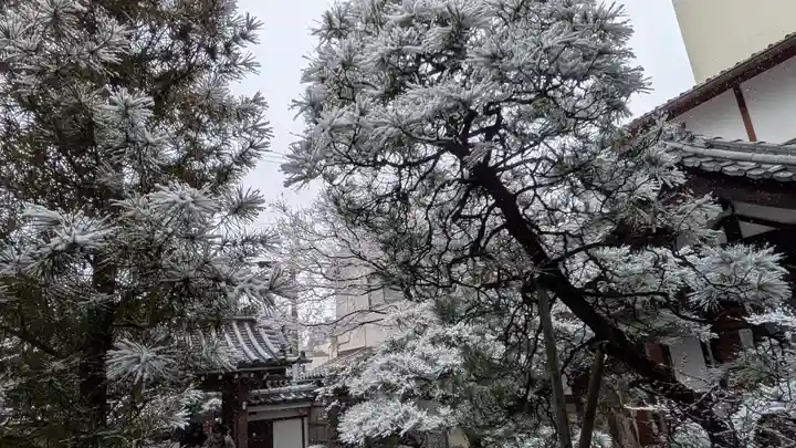 宝蔵寺(京都府)