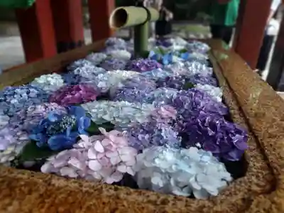 鶴岡八幡宮の手水舎