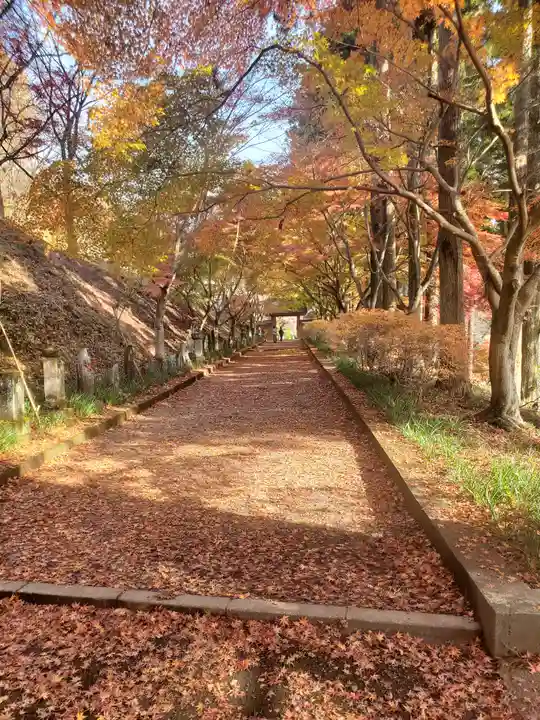 金藏院(聖法寺)(栃木県)