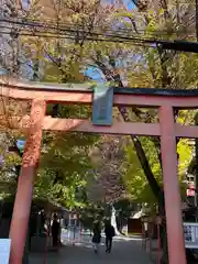 赤城神社の鳥居