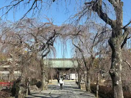 三嶋大社(静岡県)