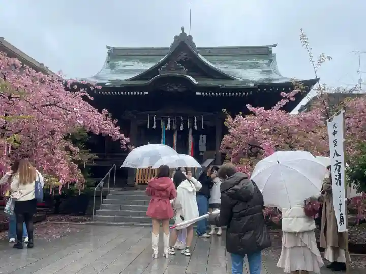 桜神宮(東京都)