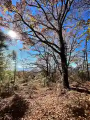 菱野健功神社(長野県)