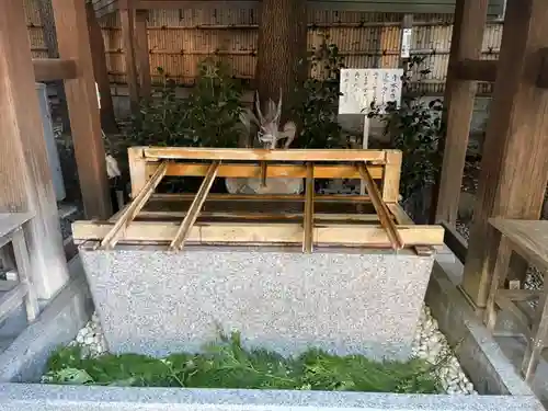 東京大神宮の手水舎