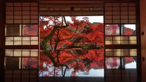 柳谷観音　楊谷寺(京都府)