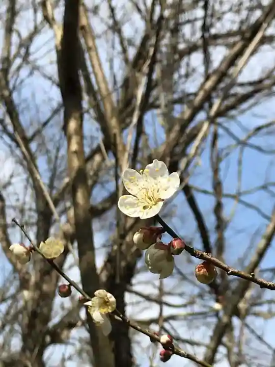 垂裕神社(福岡県)