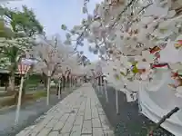 三嶋大社(静岡県)