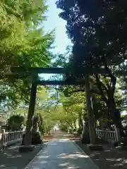 前鳥神社(神奈川県)