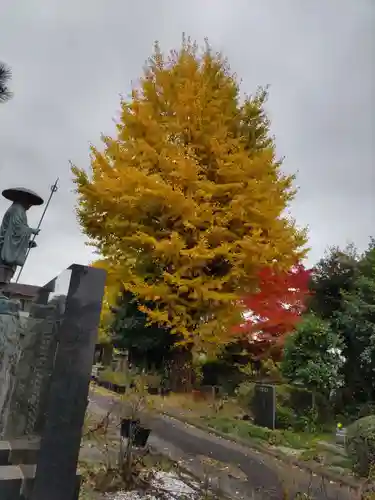 雲性寺の庭園