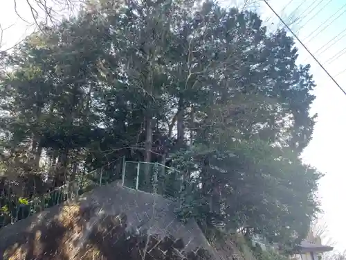 厳島神社(八幡宮境外社)(神奈川県)