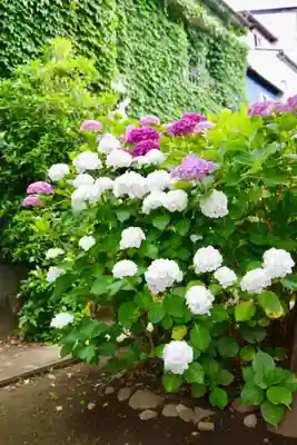 福王山  慈眼寺(東京都)