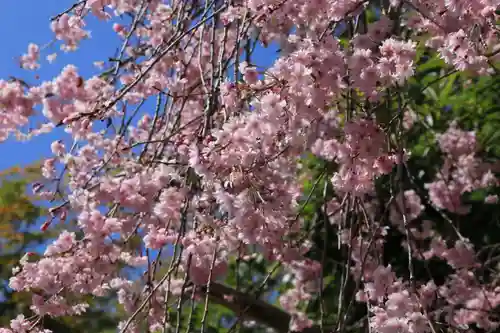 日本武神社の庭園