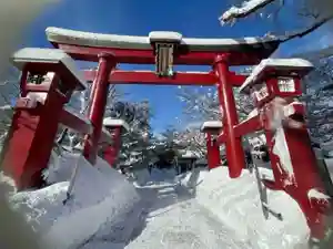 彌彦神社 (伊夜日子神社)の鳥居(2024年02月23日(金) 09時21分47秒投稿)