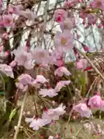 多治速比売神社(大阪府)