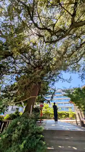 瀬戸神社(神奈川県)