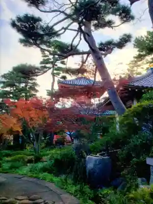 正覚院(東京都)