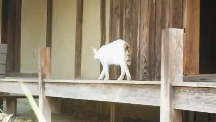 法華寺(奈良県)