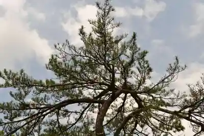 越中一宮 髙瀬神社(富山県)