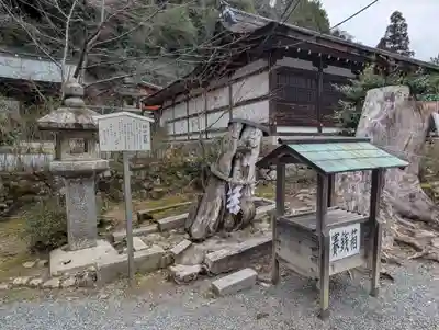 松尾大社(京都府)