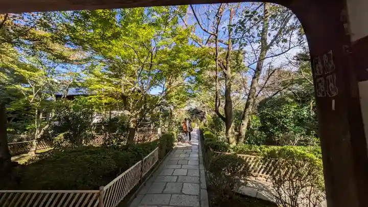 元慶寺(京都府)