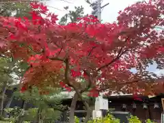 白山神社(新潟県)