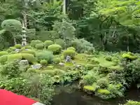 三千院門跡の庭園