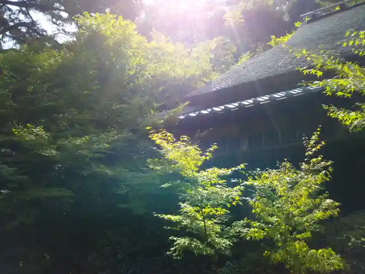 滝口寺のその他建物