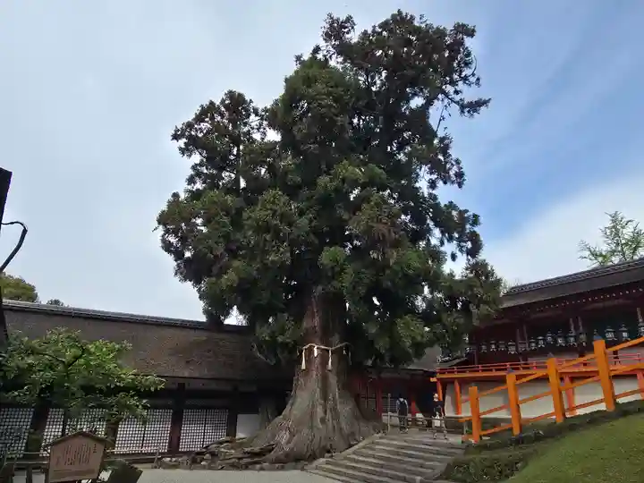 春日大社(奈良県)