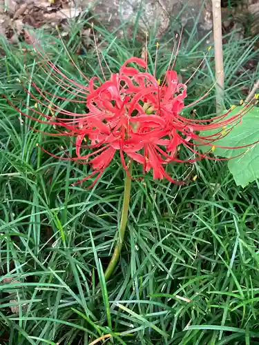 横浜　西方寺の自然