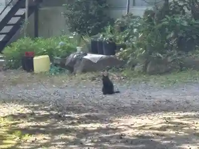 東金砂神社(茨城県)