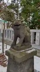 刈田神社の狛犬