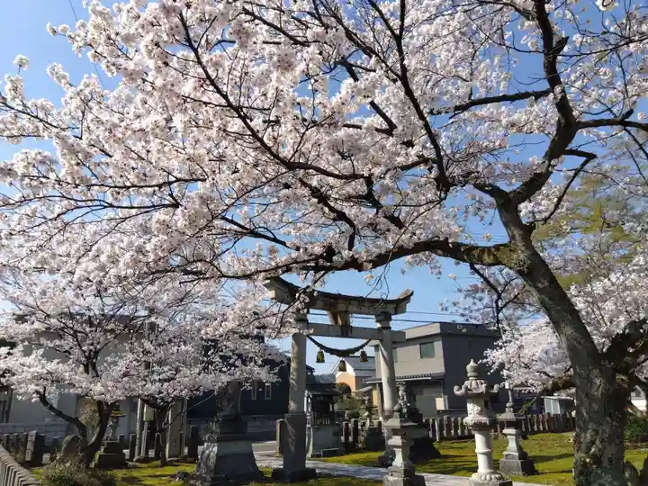 稲荷神社(福井県)