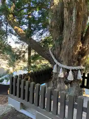 安房神社(千葉県)