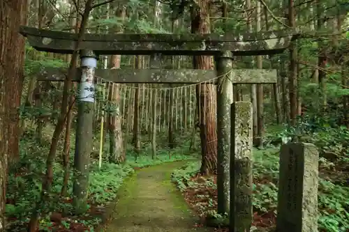 日枝神社の鳥居