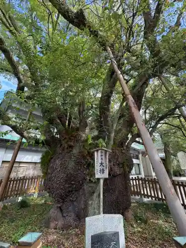 富知六所浅間神社(静岡県)