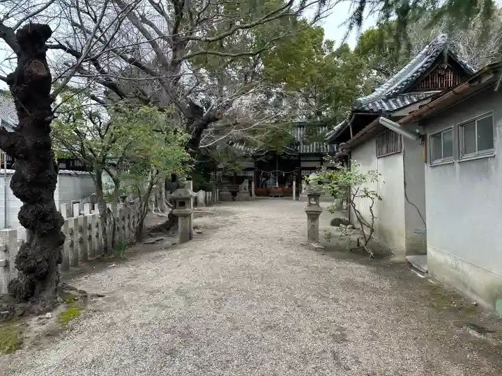式内楯原神社の{uncategorized: "未分類", other: "その他", undefined: "問題あり", building: "その他建物", grave: "お墓", sacred_gate: "鳥居", guardian: "狛犬", statue: "像", buddha: "仏像", history: "歴史", nature: "自然", garden: "庭園", animal: "動物", pagoda: "塔", temizu: "手水舎", mountain_gate: "山門・神門", sanctuary: "本殿・本堂", subordinate: "末社・摂社", art: "芸術", scenery: "景色", jizo: "地蔵", ema: "絵馬", goshuin: "御朱印", omikuji: "おみくじ", items: "授与品その他", amulet: "お守り", goshuincho: "御朱印帳", eats: "食事", festival: "お祭り", votive_dance: "神楽", shichigosan: "七五三参", wedding: "結婚式", experience: "体験その他", initially: "初詣", around: "周辺", anti_infection: "感染症対策"}