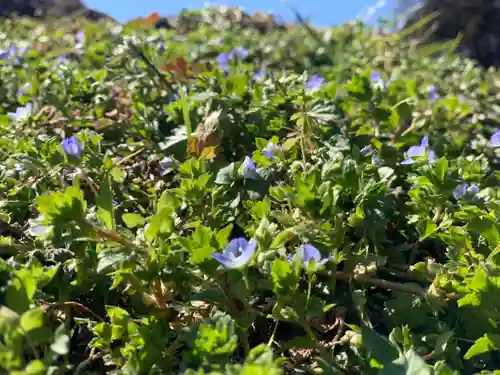 曹洞宗 永松山 龍泉寺の自然