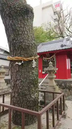 辨天神社の自然