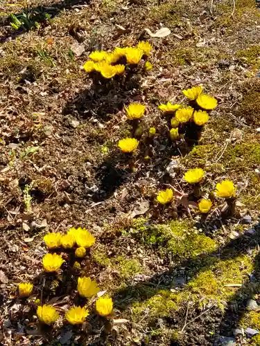 石都々古和気神社(福島県)