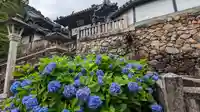 柳谷観音 楊谷寺(京都府)
