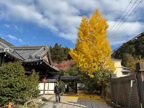 霊鑑寺門跡(京都府)