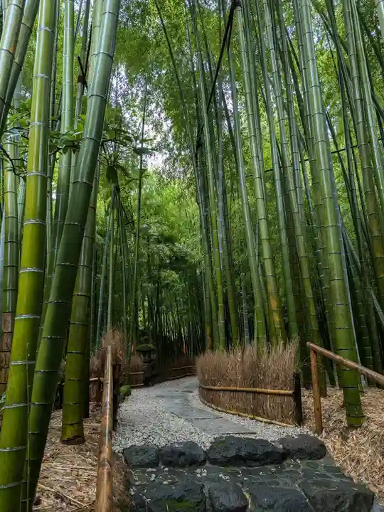 報国寺(神奈川県)