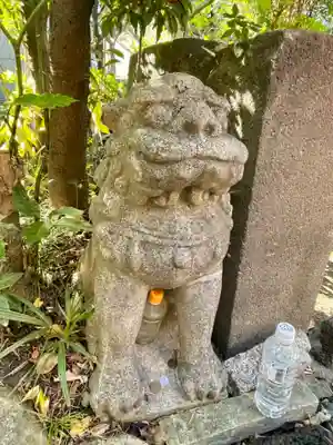 江島杉山神社の狛犬