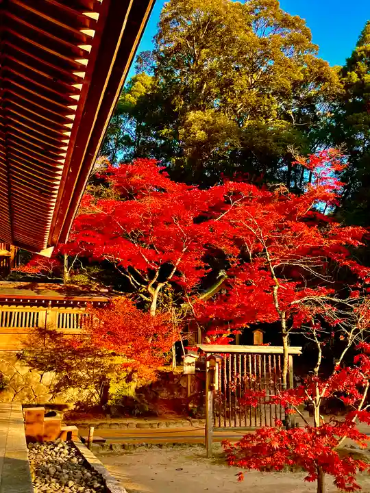 宝満宮竈門神社の自然
