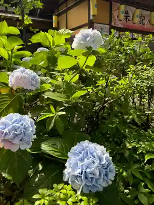田無神社(東京都)