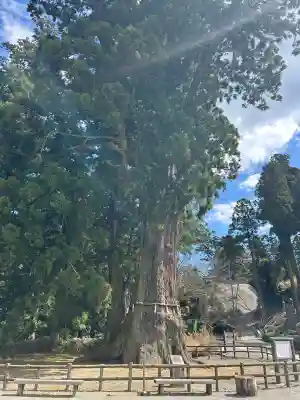 清澄寺の{uncategorized: "未分類", other: "その他", undefined: "問題あり", building: "その他建物", grave: "お墓", sacred_gate: "鳥居", guardian: "狛犬", statue: "像", buddha: "仏像", history: "歴史", nature: "自然", garden: "庭園", animal: "動物", pagoda: "塔", temizu: "手水舎", mountain_gate: "山門・神門", sanctuary: "本殿・本堂", subordinate: "末社・摂社", art: "芸術", scenery: "景色", jizo: "地蔵", ema: "絵馬", goshuin: "御朱印", omikuji: "おみくじ", items: "授与品その他", amulet: "お守り", goshuincho: "御朱印帳", eats: "食事", festival: "お祭り", votive_dance: "神楽", shichigosan: "七五三参", wedding: "結婚式", experience: "体験その他", initially: "初詣", around: "周辺", anti_infection: "感染症対策"}