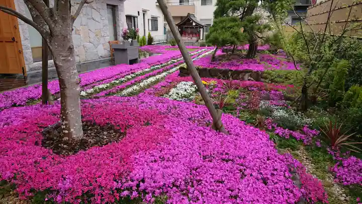寿量山 速成寺の庭園