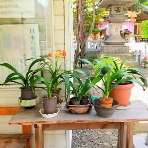 彌彦神社　(伊夜日子神社)の庭園