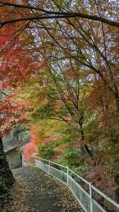 梅之宮神社(江文神社境外摂社・御旅所)(京都府)
